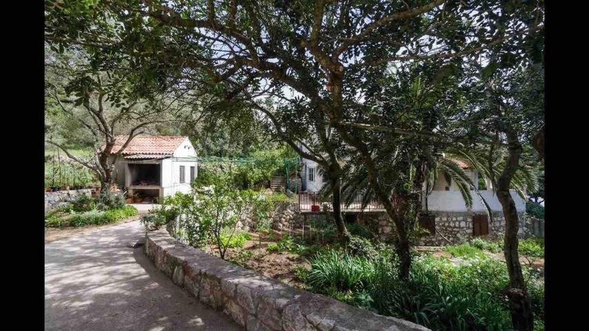 Villa Franic Saplunara Εξωτερικό φωτογραφία